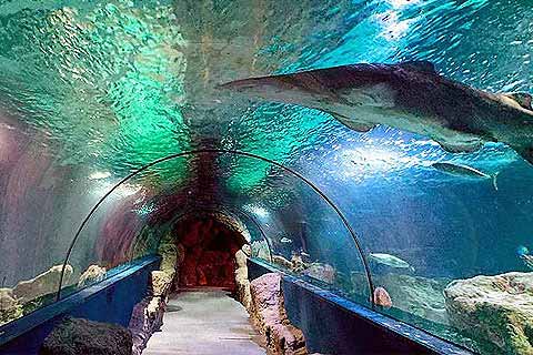 Costa Tropical Site ➜ Almunecar Aquarium