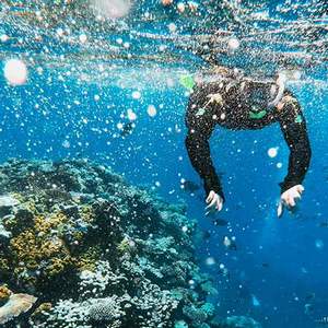 Scuba Diving La Herradura