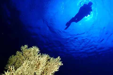 Tour de Marina Del Este